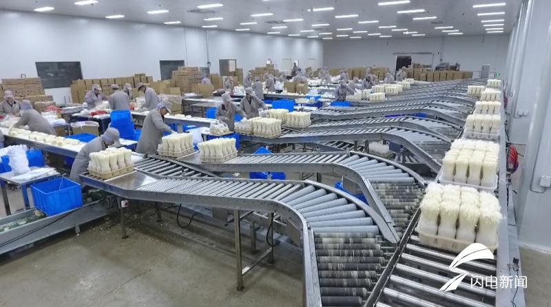 科技扶貧新起點，鄉村振興新篇章——2019年山東農業科技服務(扶貧)月啟動儀式在鄒城盛大舉行